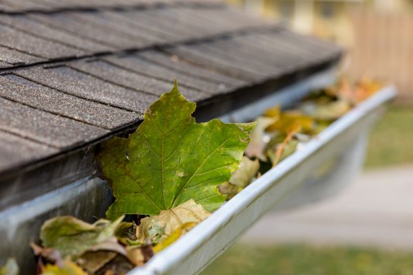 Gutter System Cleaning in North Canton