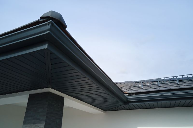 Commercial Gutter Maintenance detail