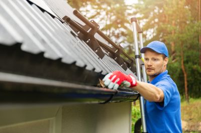 Clean Gutter Inspection
