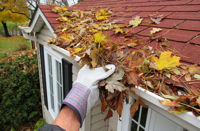 Rain Gutter Cleaning Service